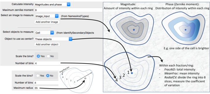 MeasureObjectIntensityDistribution_image0