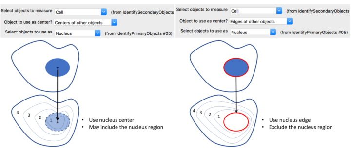 MeasureObjectIntensityDistribution_image1